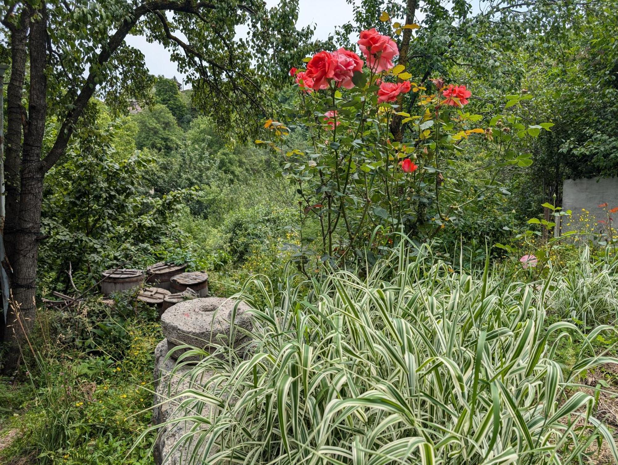 Willow Homestay