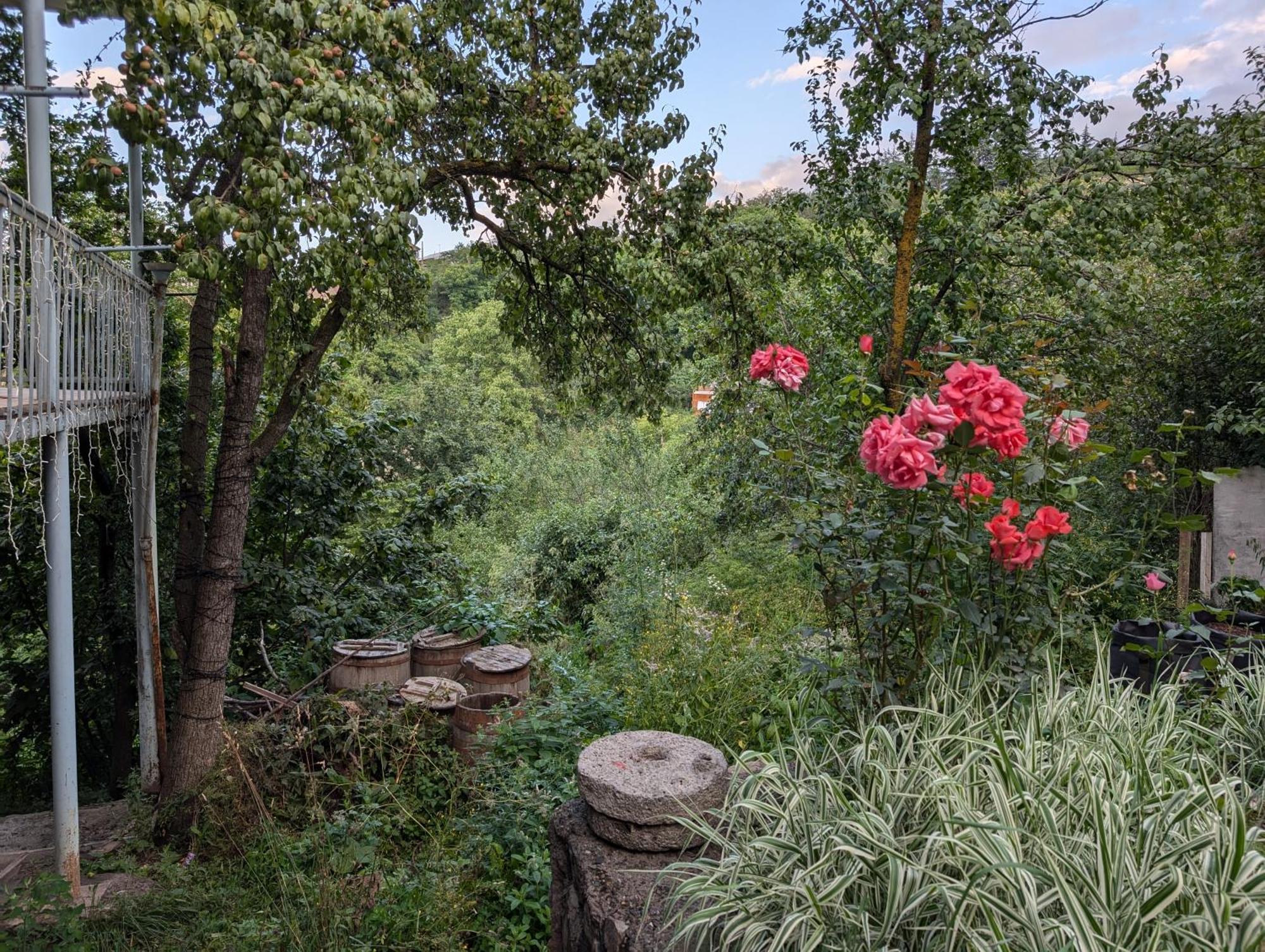 Willow Homestay *